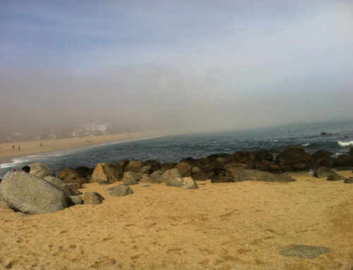 Neblina Playa El Quisco